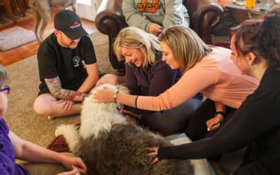 What to Expect at an In-Home Pet Euthanasia Appointment