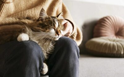 Why is Losing a Pet so Painful?
