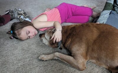 How to Guide Your Children Through the Loss of a Pet: A Mother’s Insightful Tips