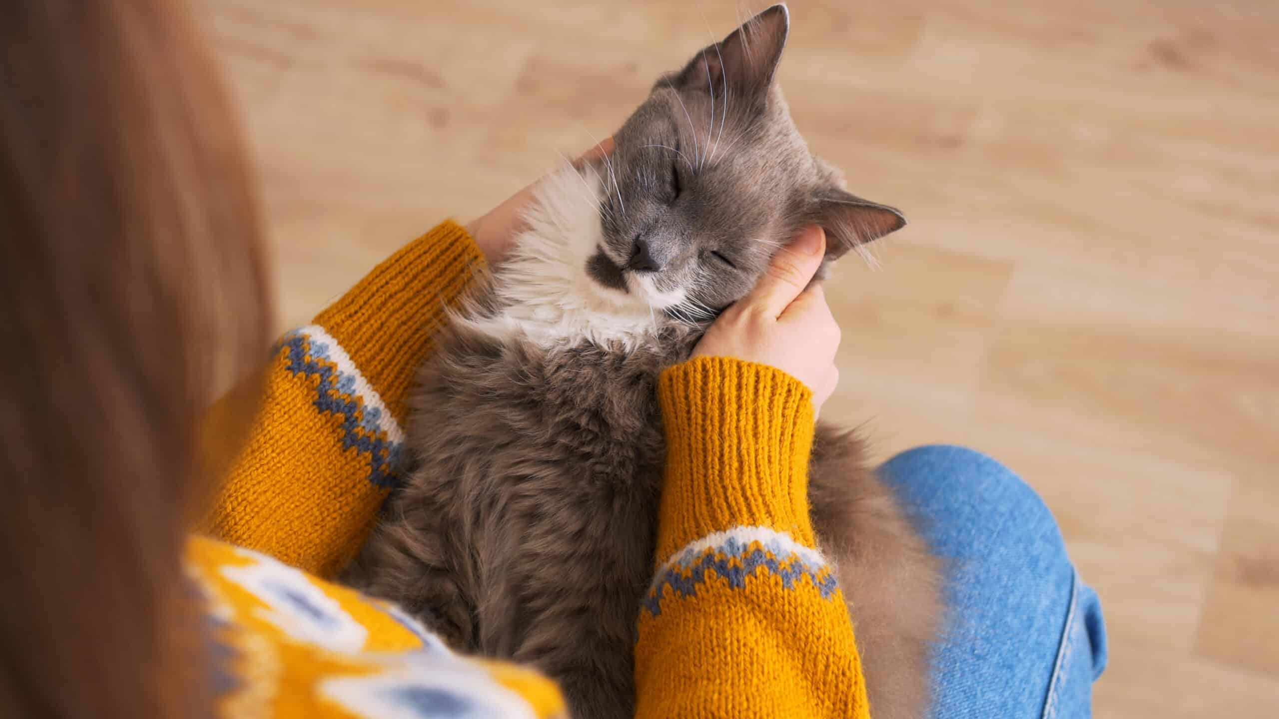 Managing your Pet's Chronic Conditions Request an In-Home Visit